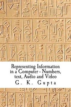portada representing information in a computer (in English)