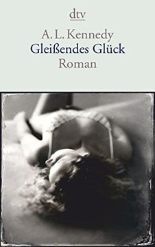 portada Gleißendes Glück (Dtv Literatur) (in German)