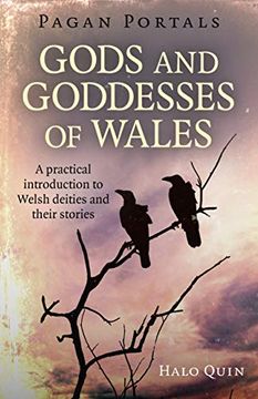 portada Pagan Portals - Gods and Goddesses of Wales: A Practical Introduction to Welsh Deities and Their Stories (in English)