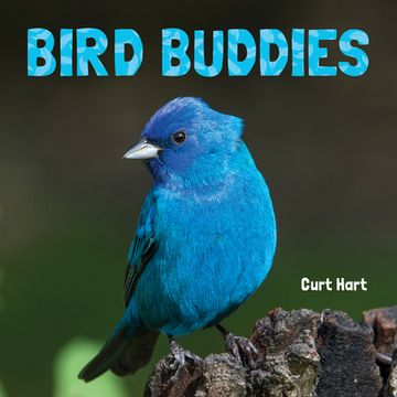 portada Bird Buddies (en Inglés)