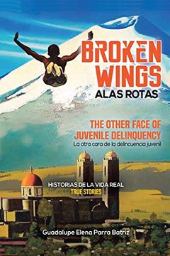 portada Broken Wings Alas Rotas: The Other Face of Juvenile Delinquency la Otra Cara de la Delincuencia Juvenil Historias de la Vida Real True Histories