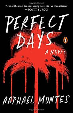 portada Perfect Days: A Novel