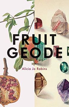 portada Fruit Geode (en Inglés)