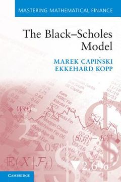 portada the black scholes model (en Inglés)