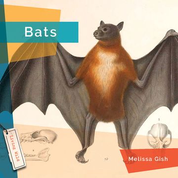 portada Bats (in English)