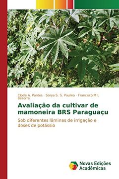 portada Avaliação da cultivar de mamoneira BRS Paraguaçu: Sob diferentes lâminas de irrigação e doses de potássio
