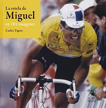 portada La estela de Miguel en 101 imágenes (in Spanish)