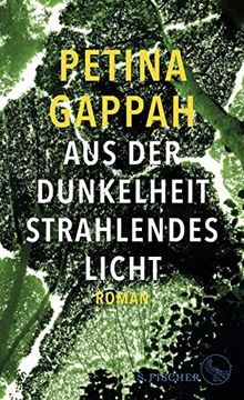 portada Aus der Dunkelheit Strahlendes Licht: Roman (in German)