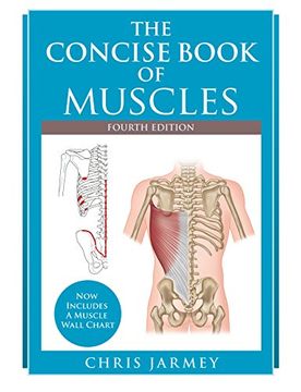 portada The Concise Book of Muscles, Fourth Edition (en Inglés)