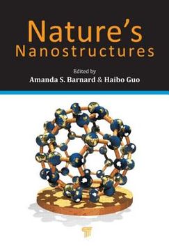 portada nature`s nanostructures (en Inglés)