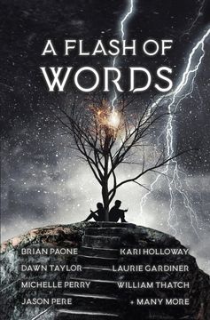 portada A Flash of Words: 49 Flash Fiction Stories: 5 (in English)
