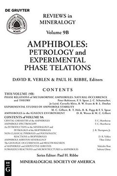 portada Amphiboles: Petrology and Experimental Phase Relations (Reviews in Mineralogy & Geochemistry) (en Inglés)