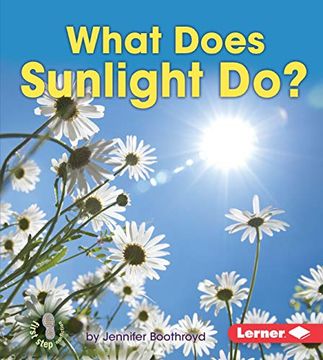 portada What Does Sunlight do? (First Step Nonfiction ― Let's Watch the Weather) 