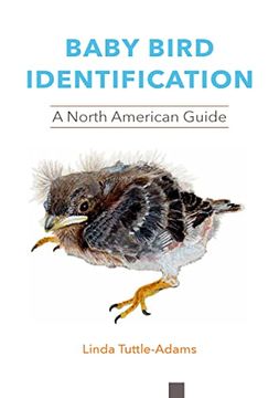 portada Baby Bird Identification: A North American Guide (en Inglés)