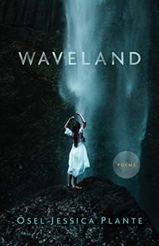 portada Waveland (in English)