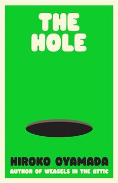 portada The Hole (in English)