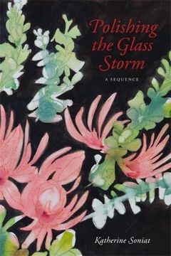 portada Polishing the Glass Storm: A Sequence (en Inglés)