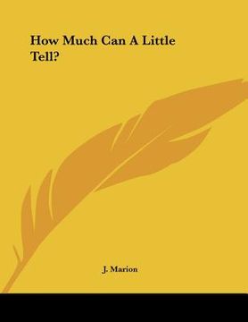 portada how much can a little tell? (in English)
