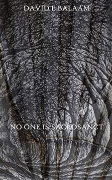portada No one is Sacrosanct (en Inglés)