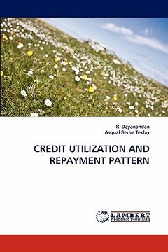 portada credit utilization and repayment pattern (en Inglés)