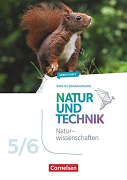portada Natur und Technik - Naturwissenschaften: Neubearbeitung - Berlin/Brandenburg: 5. /6. Schuljahr: Naturwissenschaften - Arbeitsheft - 5. /6. Schuljahr: (en Alemán)