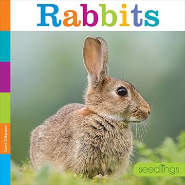 portada Rabbits (Seedlings: Backyard Animals) (in English)