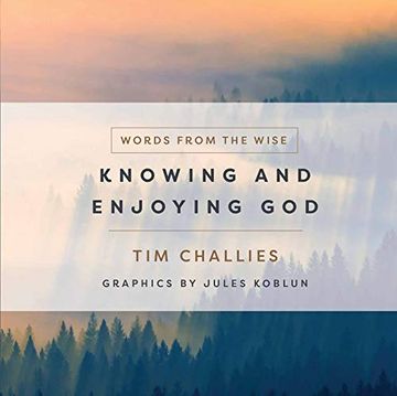 portada Knowing and Enjoying god (Words From the Wise) (in English)