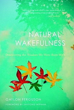 portada Natural Wakefulness: Discovering the Wisdom we Were Born With (en Inglés)