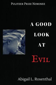 portada A Good Look at Evil (en Inglés)