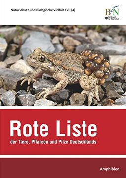 portada Nabiv Heft 170/4 Rote Liste der Tiere, Pflanzen und Pilze Deutschlands - Amphibien: Naturschutz und Biologische Vielfalt Heft 170 bd. 4 (en Alemán)