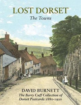 portada Lost Dorset: The Towns (in English)