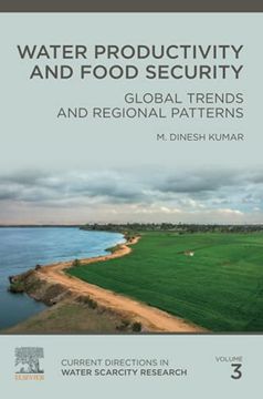 portada Water Productivity and Food Security: Global Trends and Regional Patterns: Volume 3 (Current Directions in Water Scarcity Research, Volume 3) 