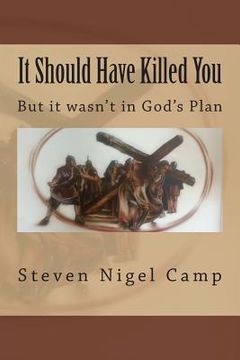 portada It Should Have Killed You: (But it wasn't in God's Plan) (en Inglés)