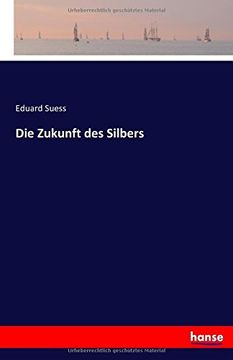 portada Die Zukunft des Silbers (German Edition)
