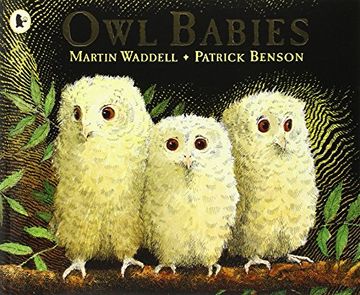 portada Owl Babies