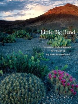 portada Little big Bend: Common, Uncommon, and Rare Plants of big Bend National Park (Grover e. Murray Studies in the American Southwest) (in English)