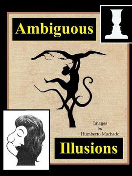 portada Ambiguous Illusions (in English)