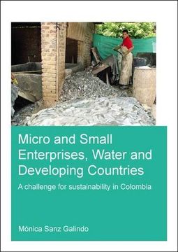 portada Micro and Small Enterprises, Water and Developing Countries: A Challenge for Sustainability in Colombia (Unescoihe Phd Thesis Series)