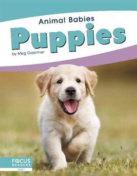 portada Puppies (Animal Babies) (en Inglés)
