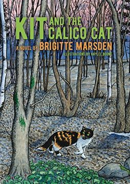 portada Kit and the Calico Cat