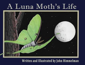 portada A Luna Moth's Life (en Inglés)