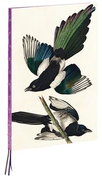 portada Magpies, James Audubon a4 Notebook: Large Format Hardcover a4 Style Notebook With Special Features (en Inglés)