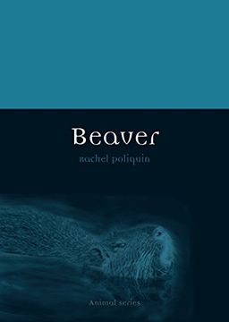 portada Beaver (Animal) (en Inglés)