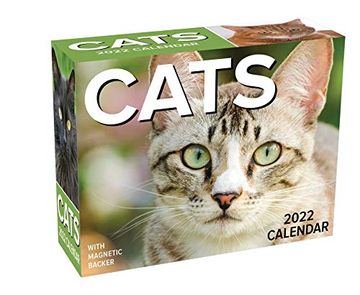 portada Cats 2022 Mini Day-To-Day Calendar 