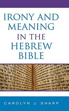 portada Irony and Meaning in the Hebrew Bible (en Inglés)