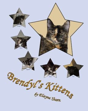 portada Brendyl's Kittens (Kittens, Kittens & More Kittens) (Volume 3)