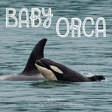 portada Baby Orca 