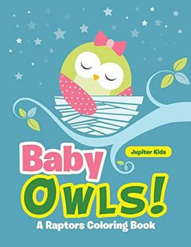 portada Baby Owls! A Raptors Coloring Book (en Inglés)