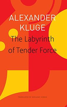 portada The Labyrinth of Tender Force: 166 Love Stories (en Inglés)