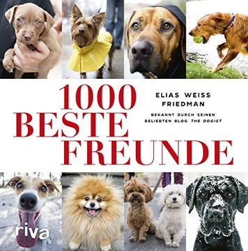 portada 1000 Beste Freunde (en Alemán)